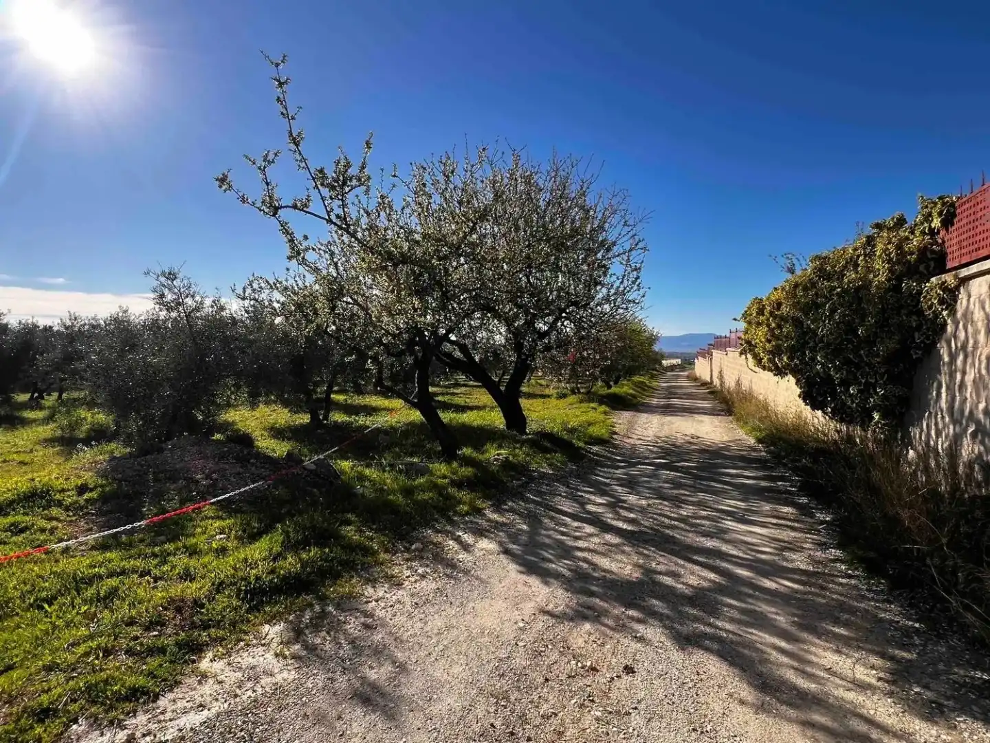 Land for sale in Gójar