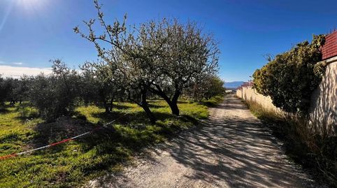 Foto 5 de Terreno en venta en Camino de la Gayomba, 18150, Gójar, Granada