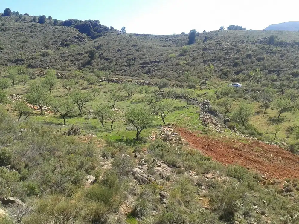 Terreni e lotti in vendita a Vélez de Benaudalla, imagen 2