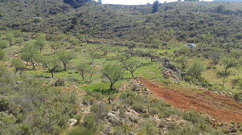 Parcela en venta en Vélez de Benaudalla, con más de 30.000 metros cuadrados, en una ubicación idílica, rodeada de naturaleza y con, imatge 2