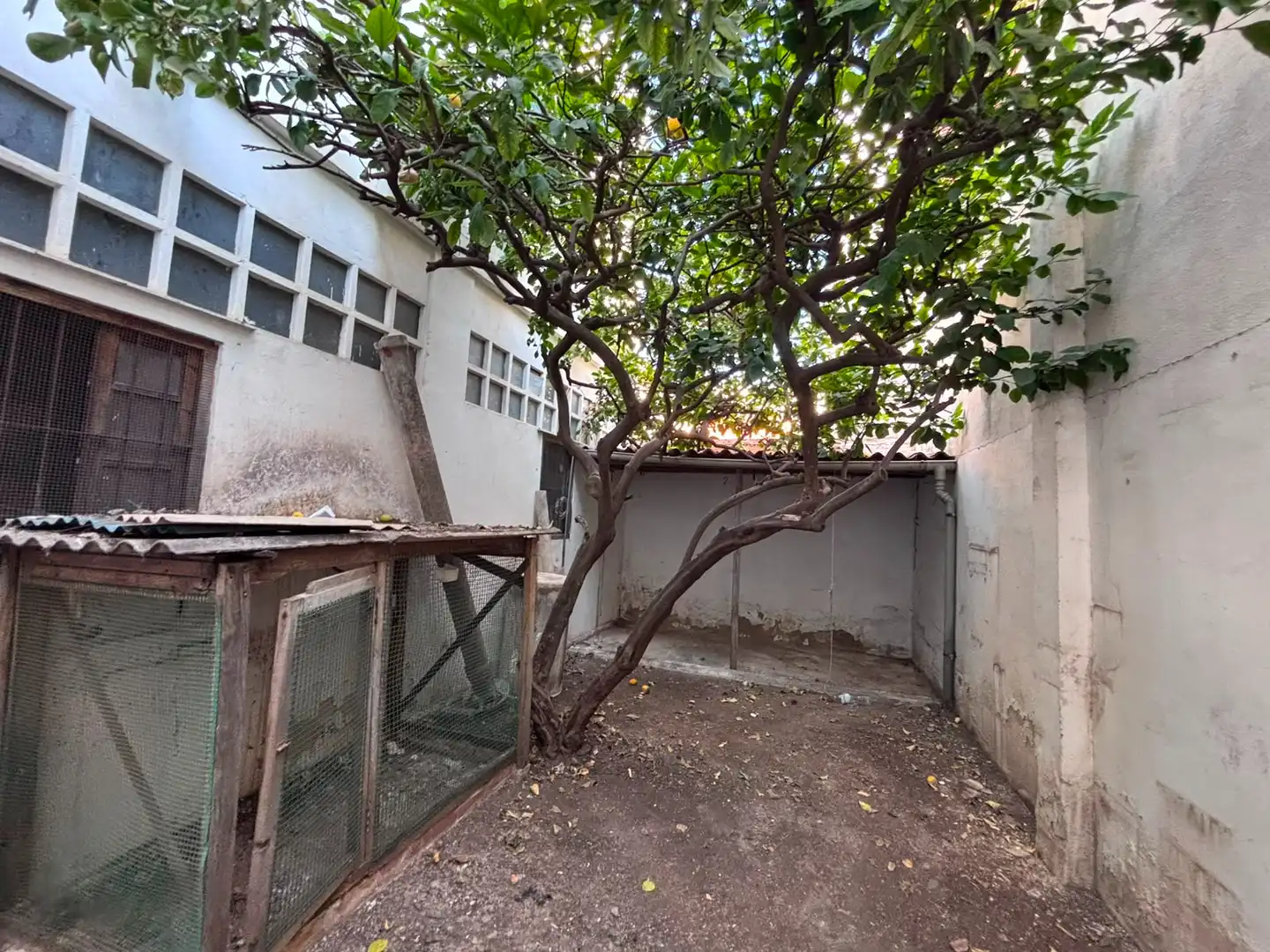 Jardí de Casa o xalet en venda en Burjassot amb Terrassa i Balcó