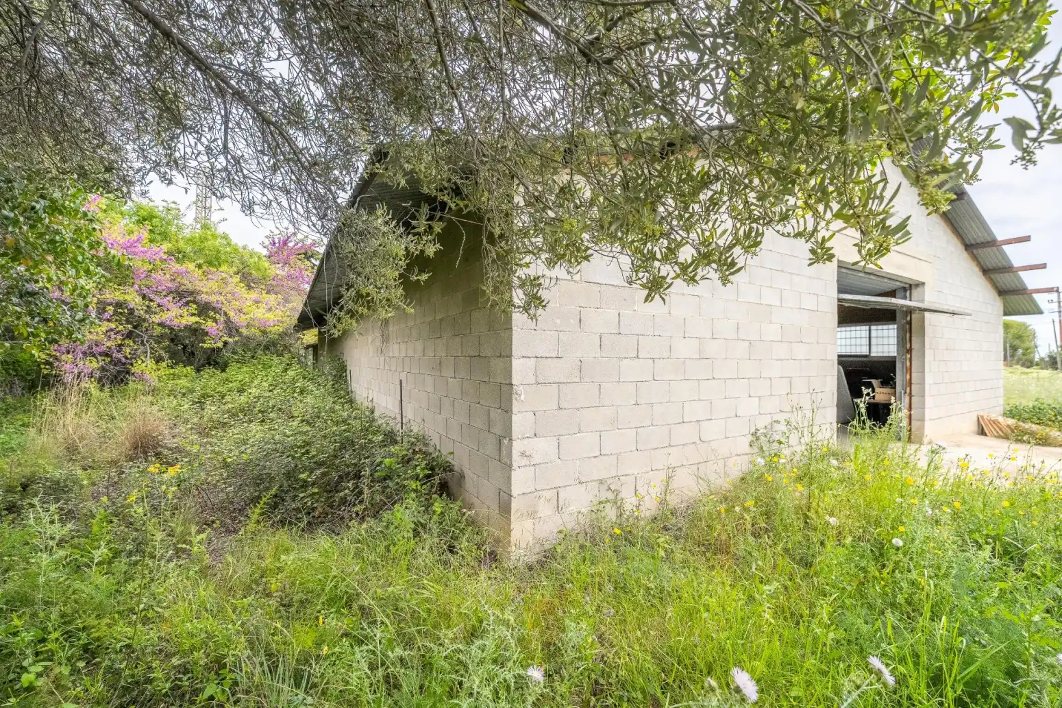 Casa o chalet en venta en Reus - Poligono Polígono 55 Paraje 46 ROJALS, Llevant