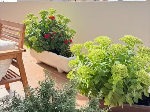 Jardí de Pis en venda en Noez amb Aire condicionat, Calefacció i Jardí privat
