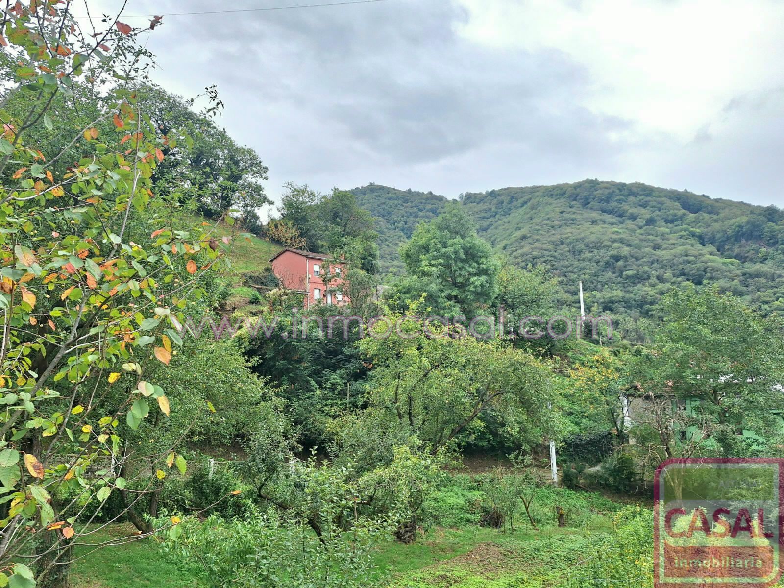 Casa o xalet en venda en Mieres (Asturias) amb Traster i Moblat