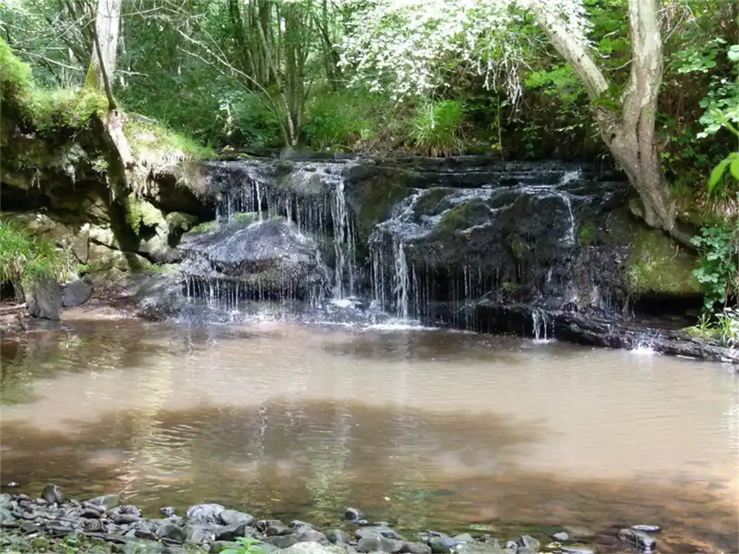Piscina de Casa o chalet en venta en Alfoz de Bricia con Balcón