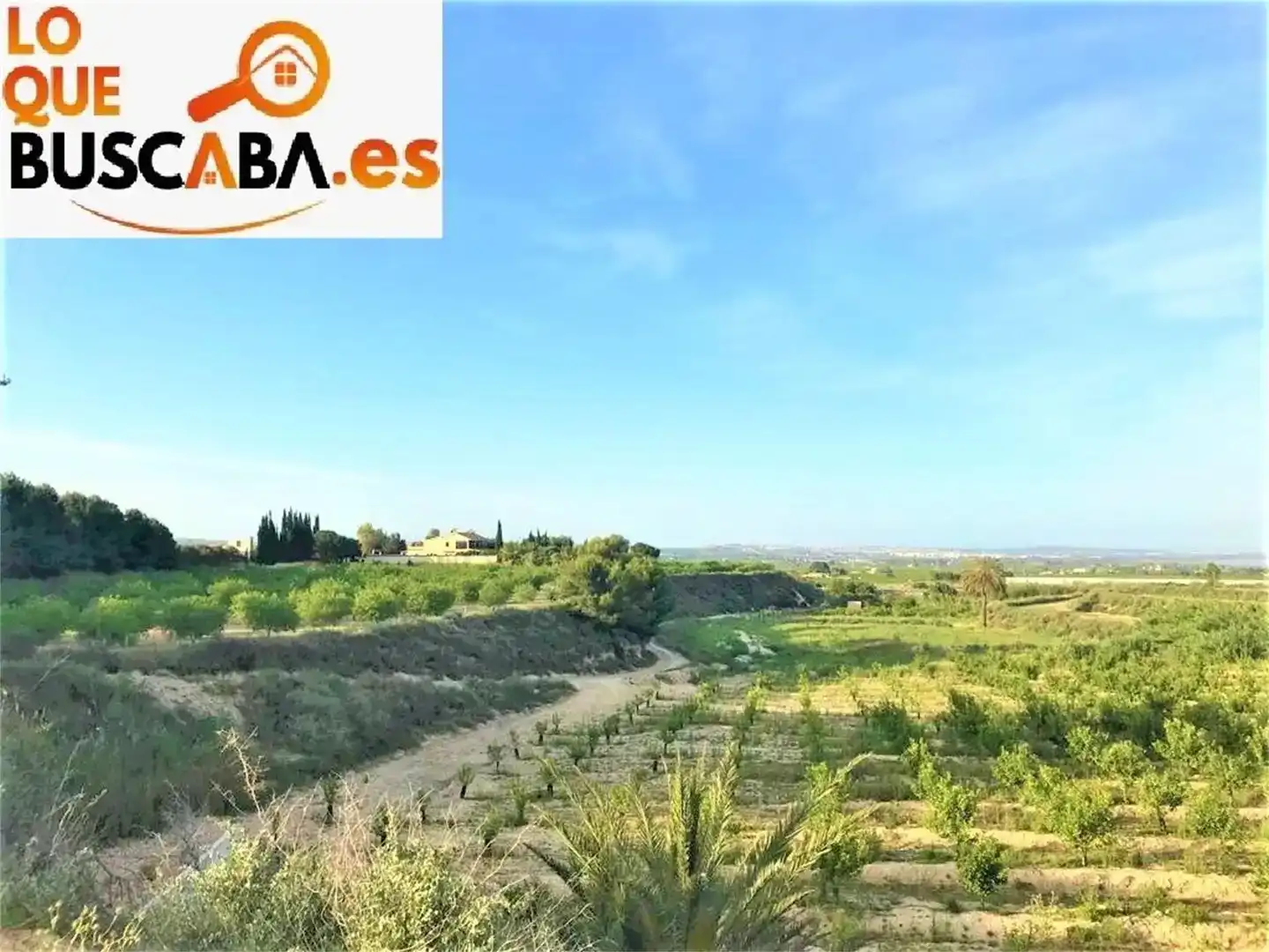 Finca rústica en venda en San Miguel de Salinas amb Aire condicionat i Piscina