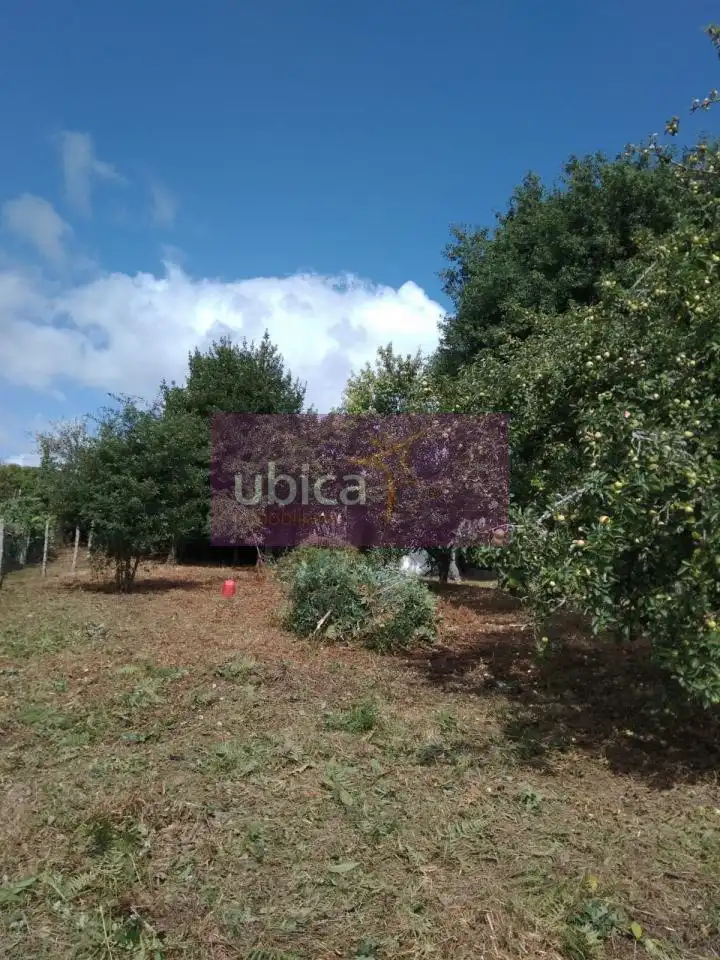 Lands and plots for sale in Salceda de Caselas, imagen 9