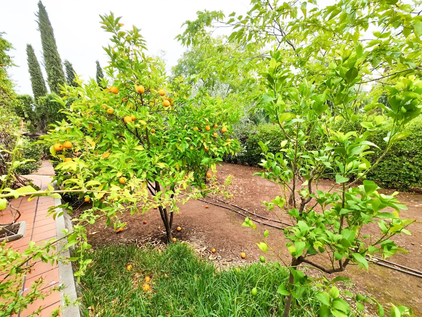 Jardí de Casa o xalet en venda en Puertollano amb Aire condicionat, Calefacció i Jardí privat