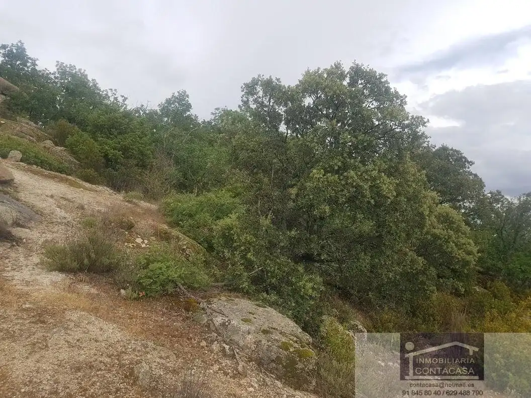 Finca rústica en venta en La Cabrera