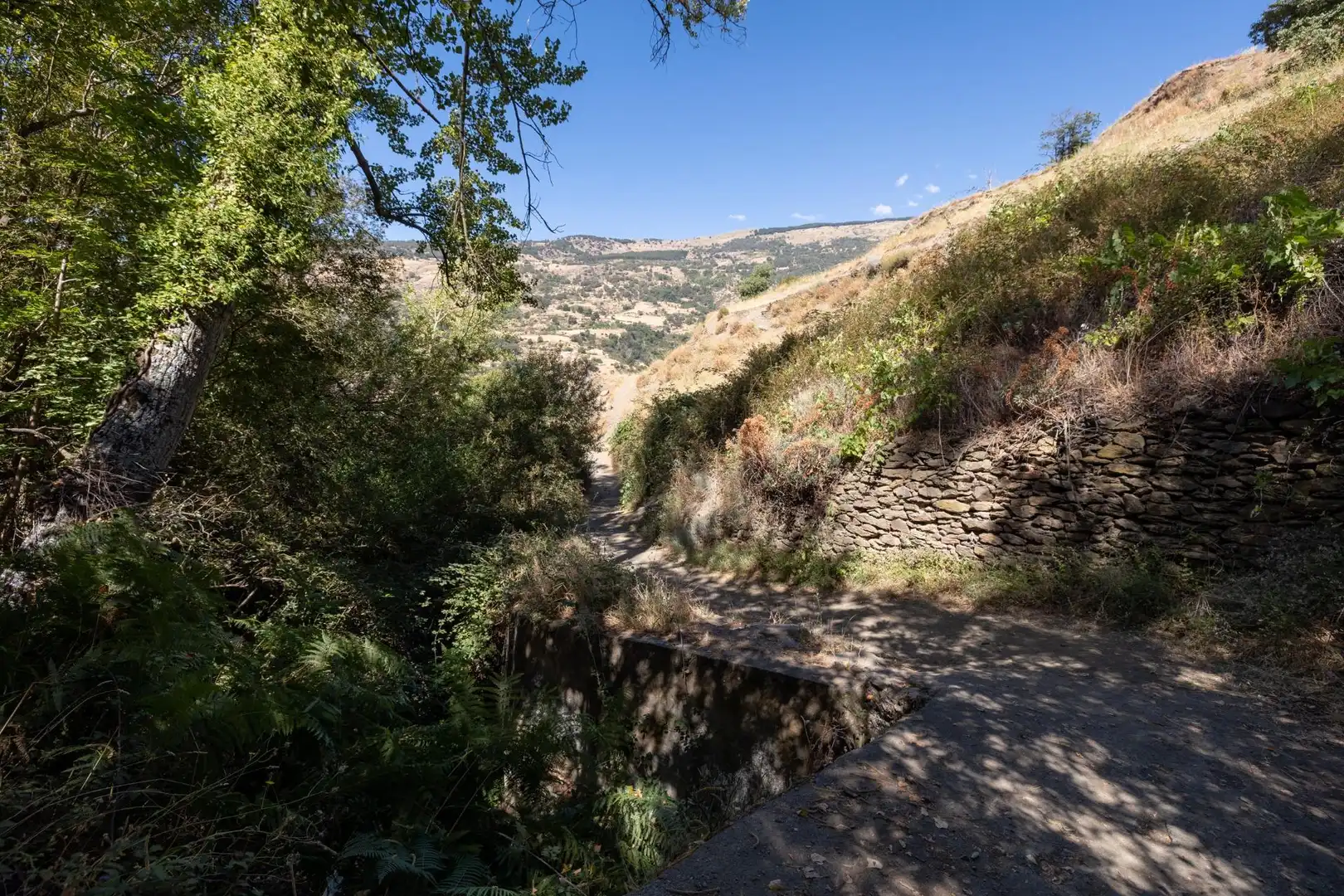 Rural land for sale in Polígono 3 Parcela 19 JARILA. BUBION (GRANADA), imagen 16
