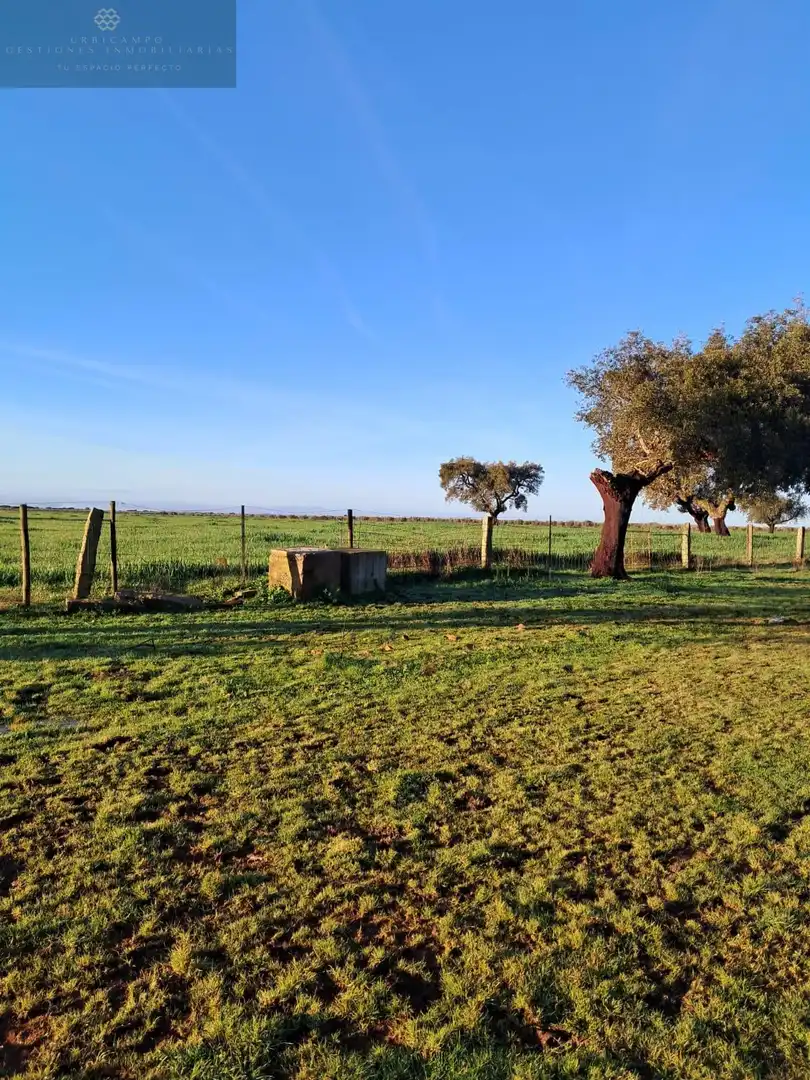 Country homes for sale in Mérida