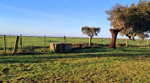 Foto 2 de Finca rústica en venda a Norte, Badajoz
