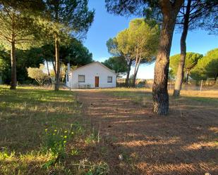 Jardí de Casa o xalet en venda en Villanueva de Duero amb Jardí privat, Terrassa i Traster