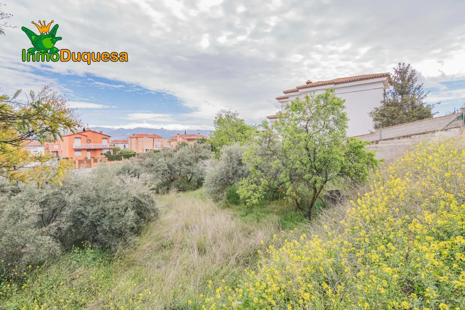 Terreni e lotti in vendita a Cúllar Vega, imagen 11