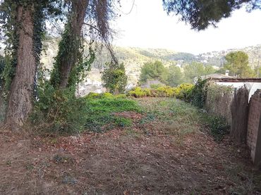 Terreny rústic en venda a Puig Moltó - Can Macià