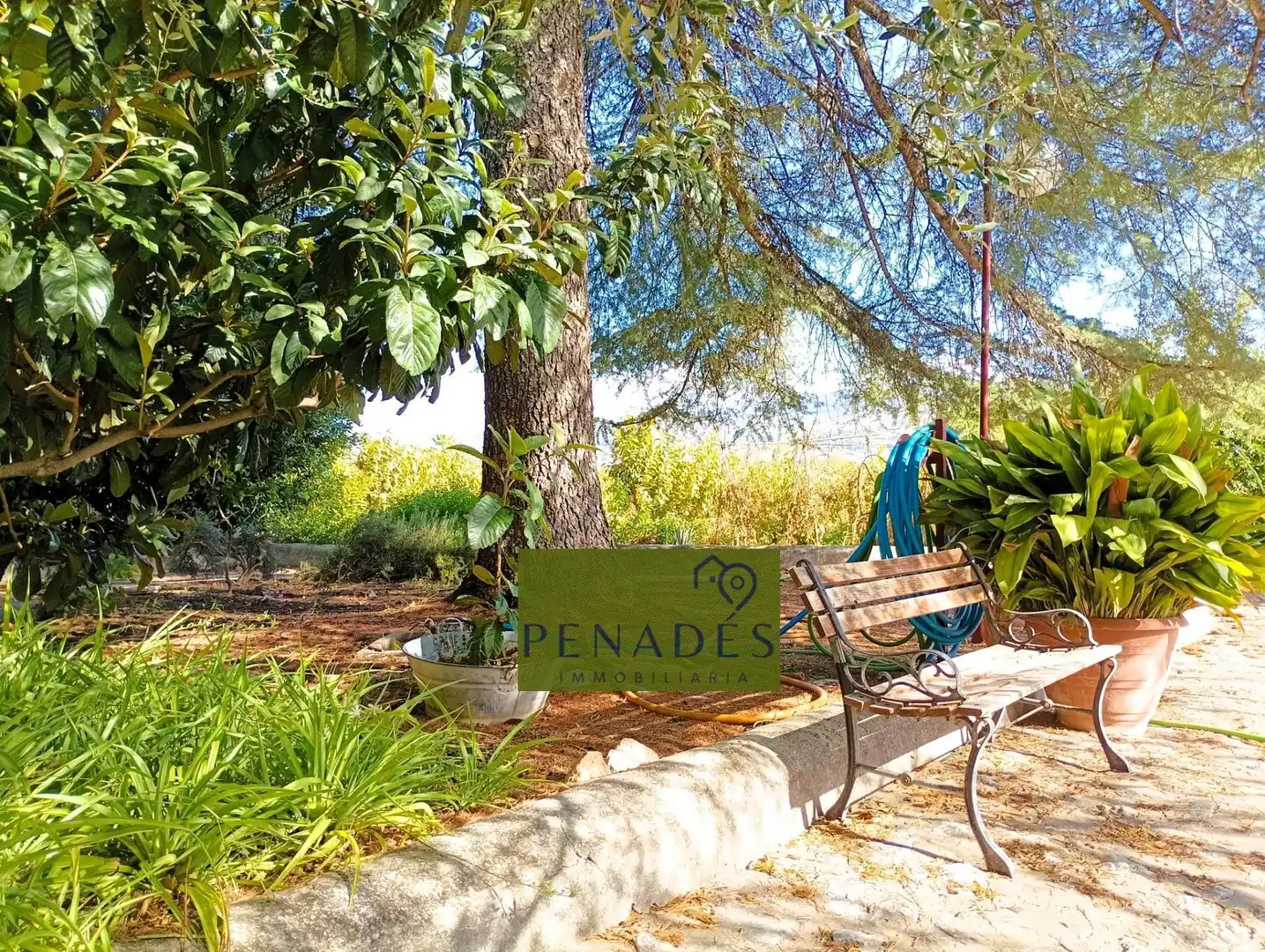 Villa in vendita a Santa Ana, imagen 11