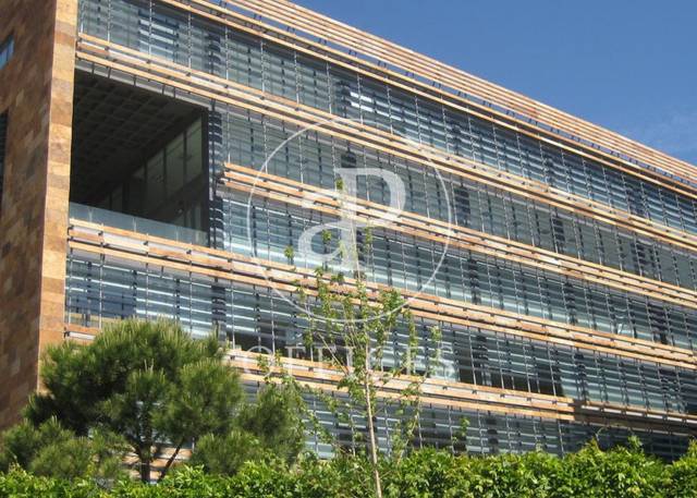 Oficina en Alquiler en Calle de Isabel Colbrand en Las Tablas