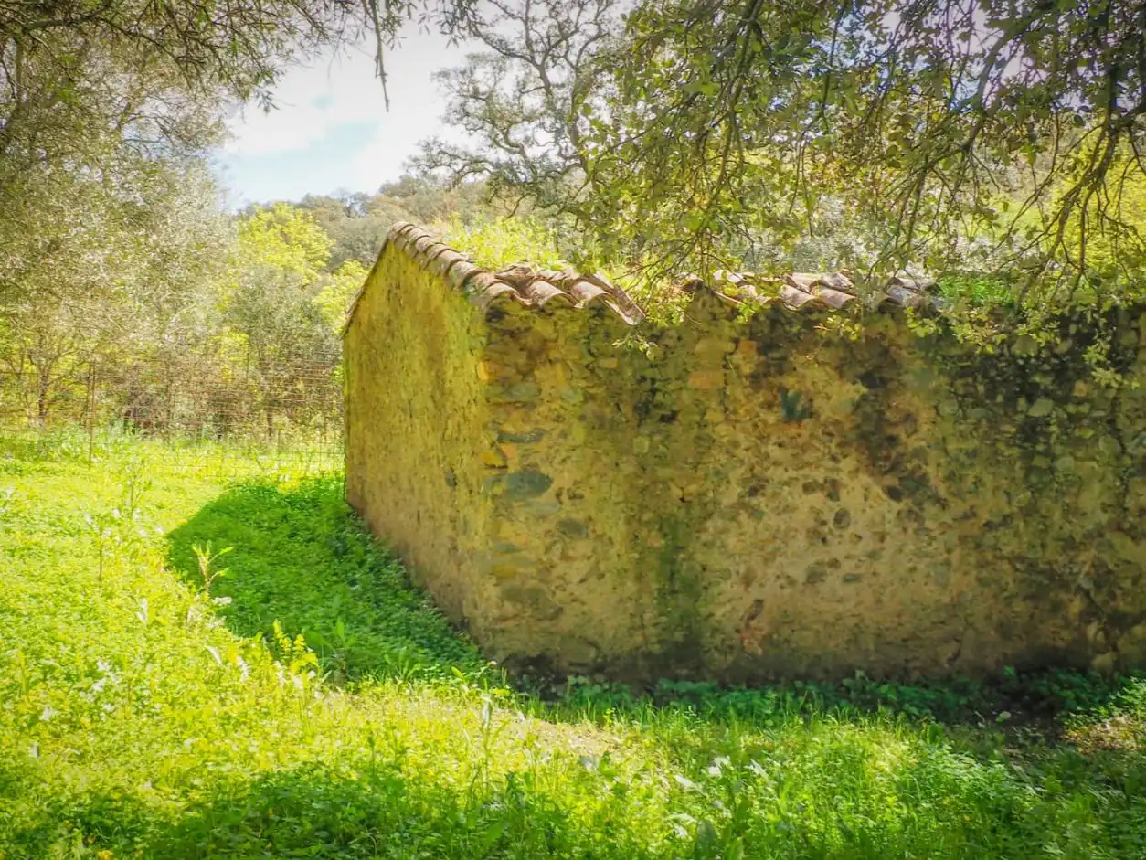 Garden of Land for sale in Linares de la Sierra