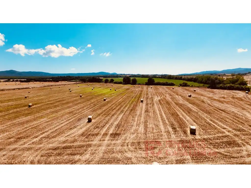 Maison à vendre à Lugar Panedes, imagen 42