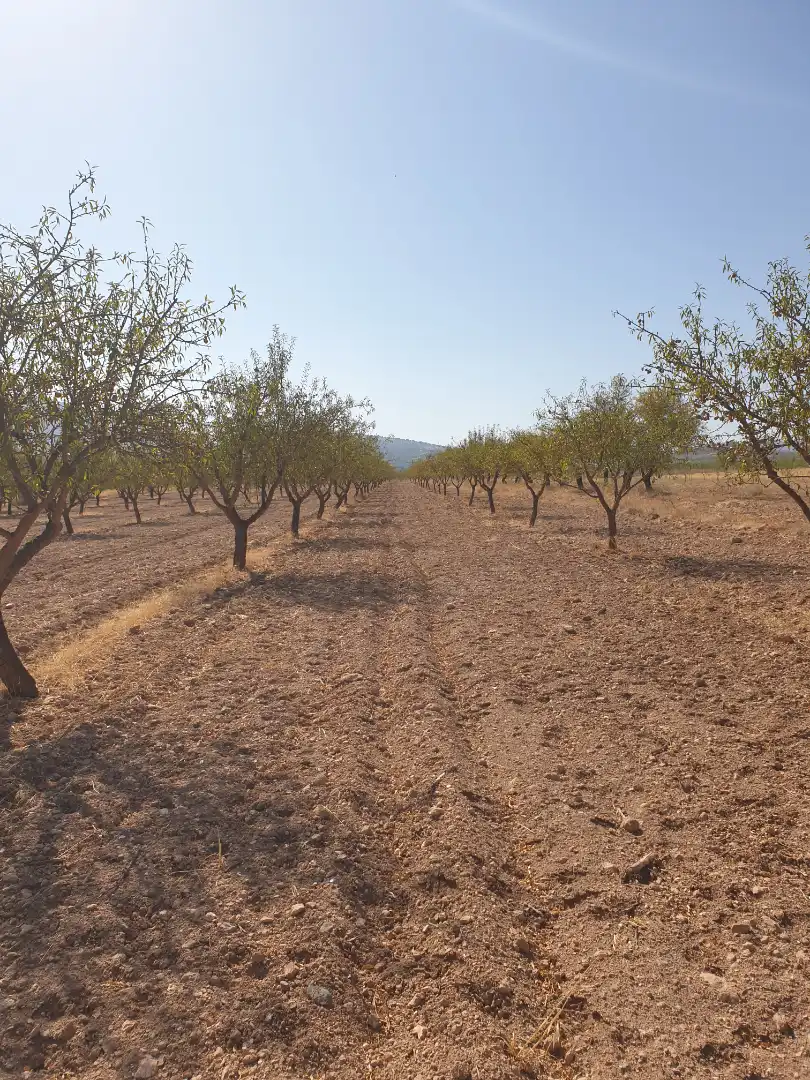 Terreni e lotti in vendita a Guadix, imagen 3