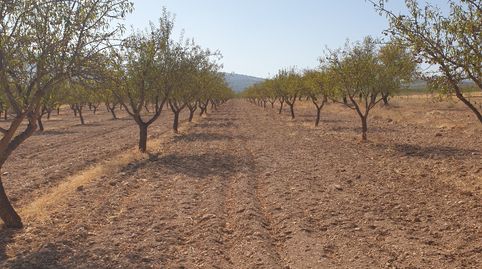 VENTA DE FINCA DE ALMENDROS T-M- GOR -GRANADA, imagen 3