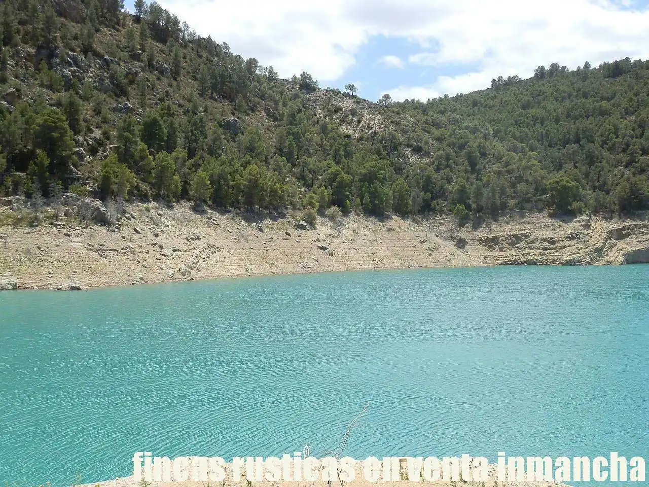 Rural land for sale in Letur