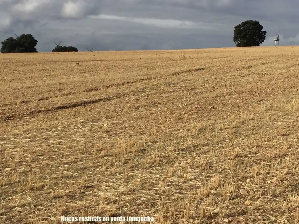 Terreni e lotti in vendita a Munera, imagen 11