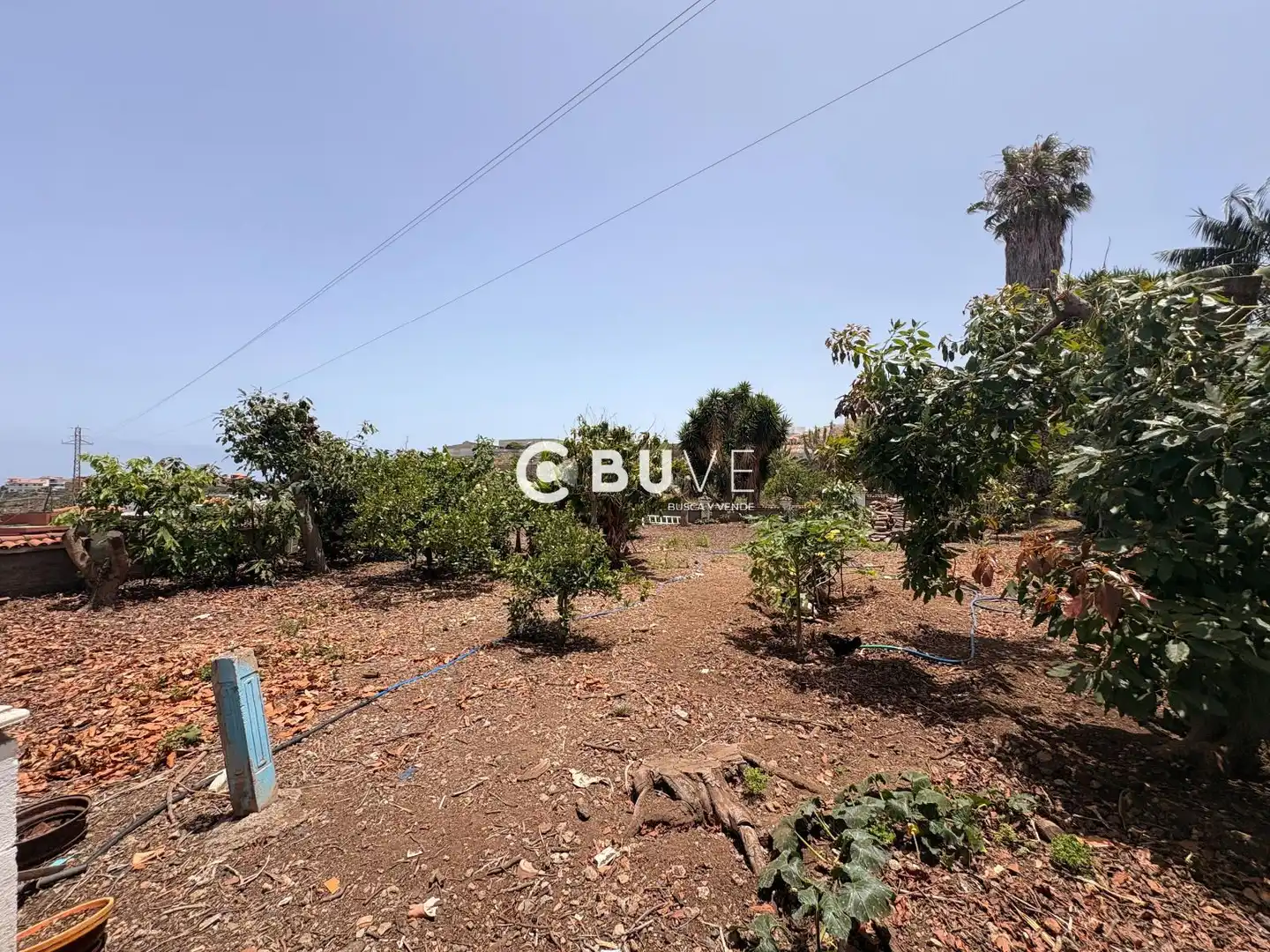 Casa o xalet en venda en Icod de los Vinos pueblo