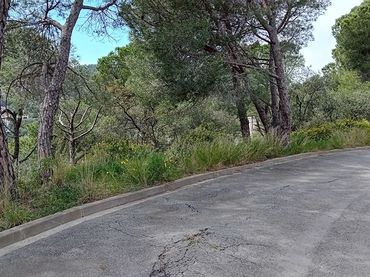 Terreno residenziale in vendita a Eucaliptus 14