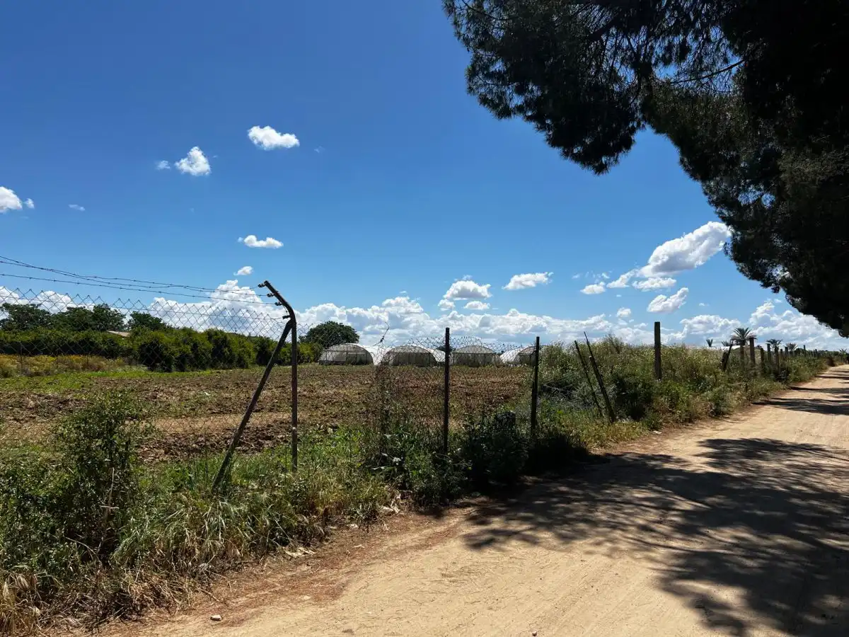 Casa rústica en venda a Los Palacios y Villafranca, imagen 5