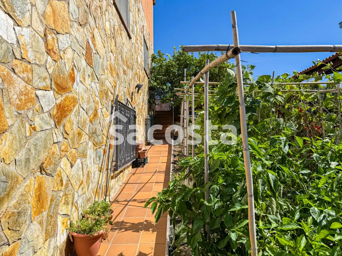 Jardí de Casa o xalet en venda en Blanes amb Aire condicionat, Jardí privat i Terrassa