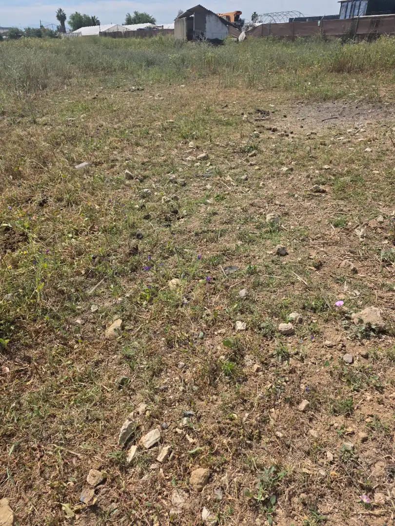 Rural land for sale in Pedanías Norte, imagen 3