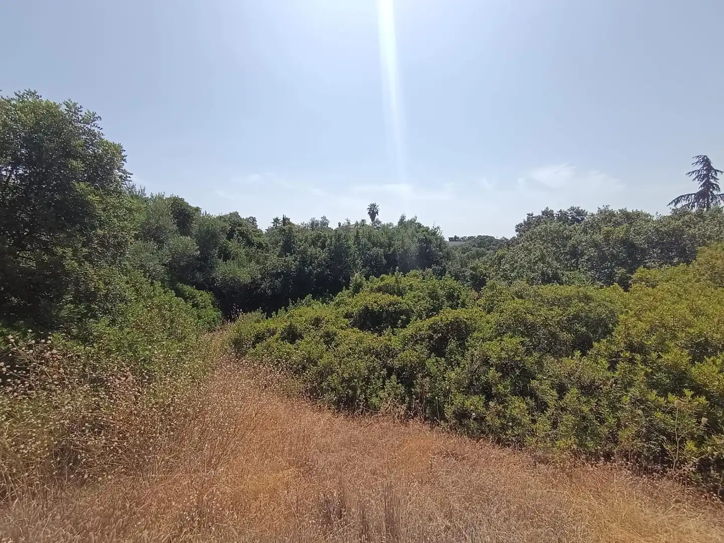 Lands and plots for sale in Periurbano Norte