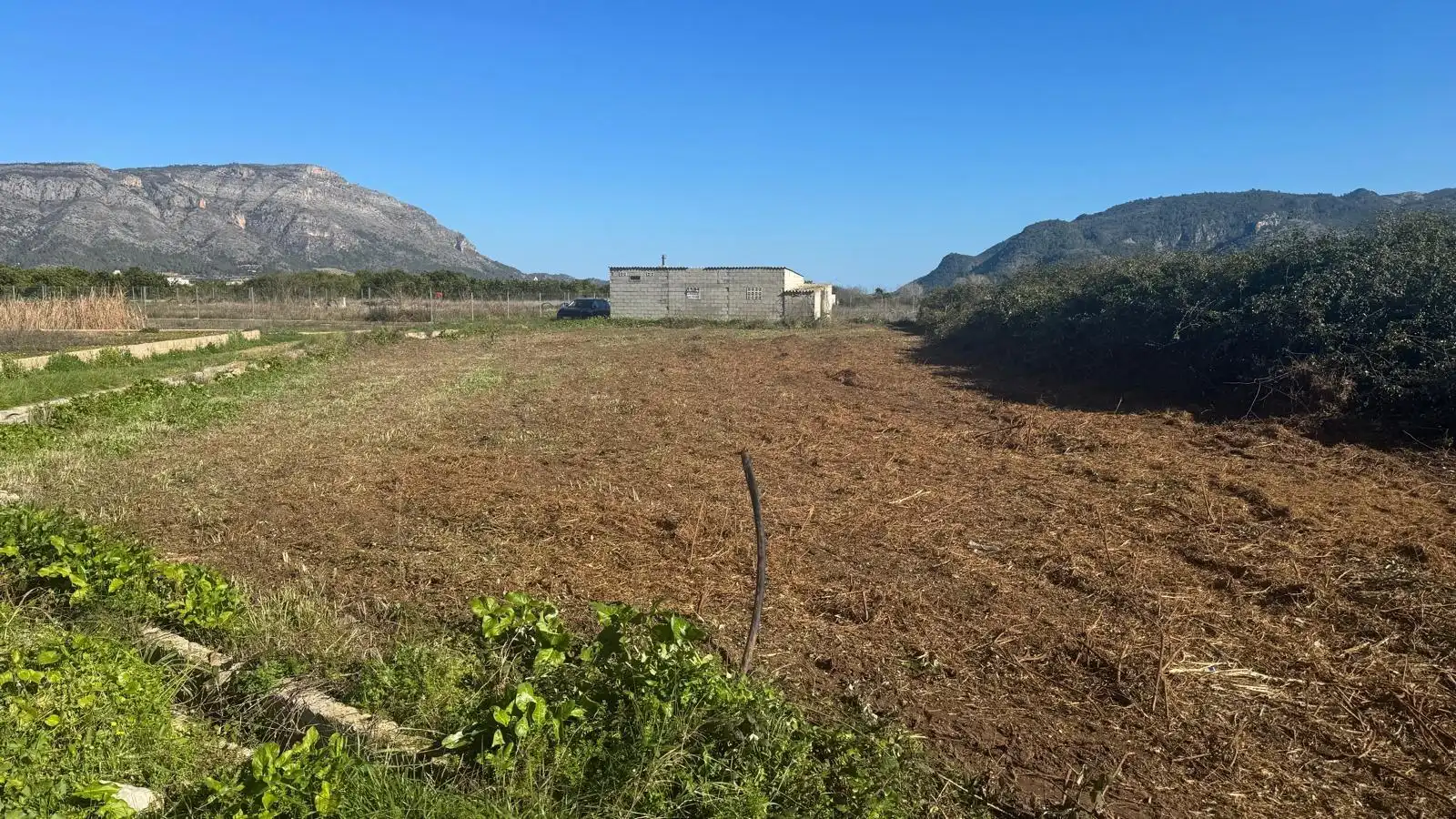 Finca rústica en venta en Simat de la Valldigna