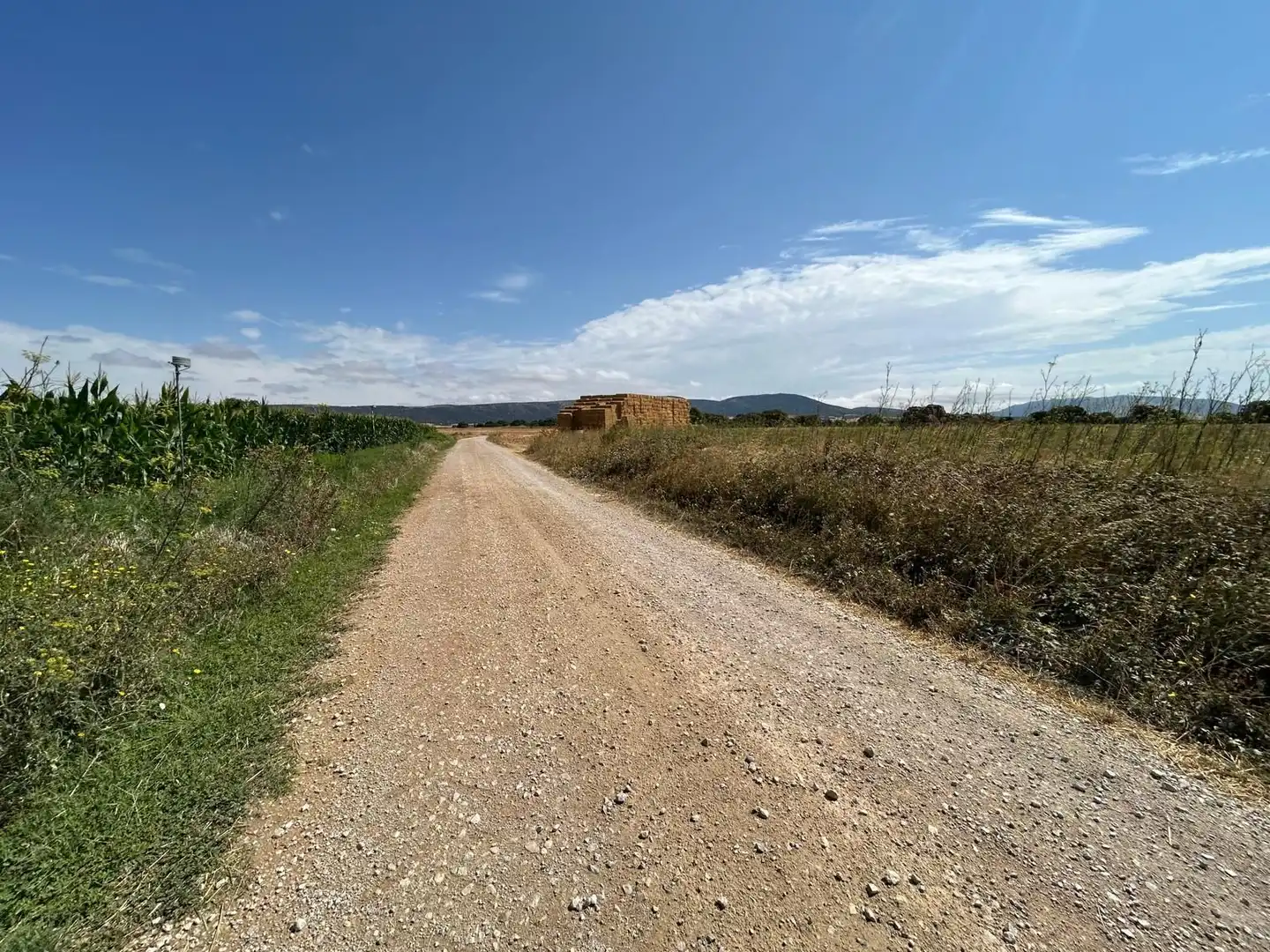 Terreny rústic en venda a 123 poligono 3, imagen 13