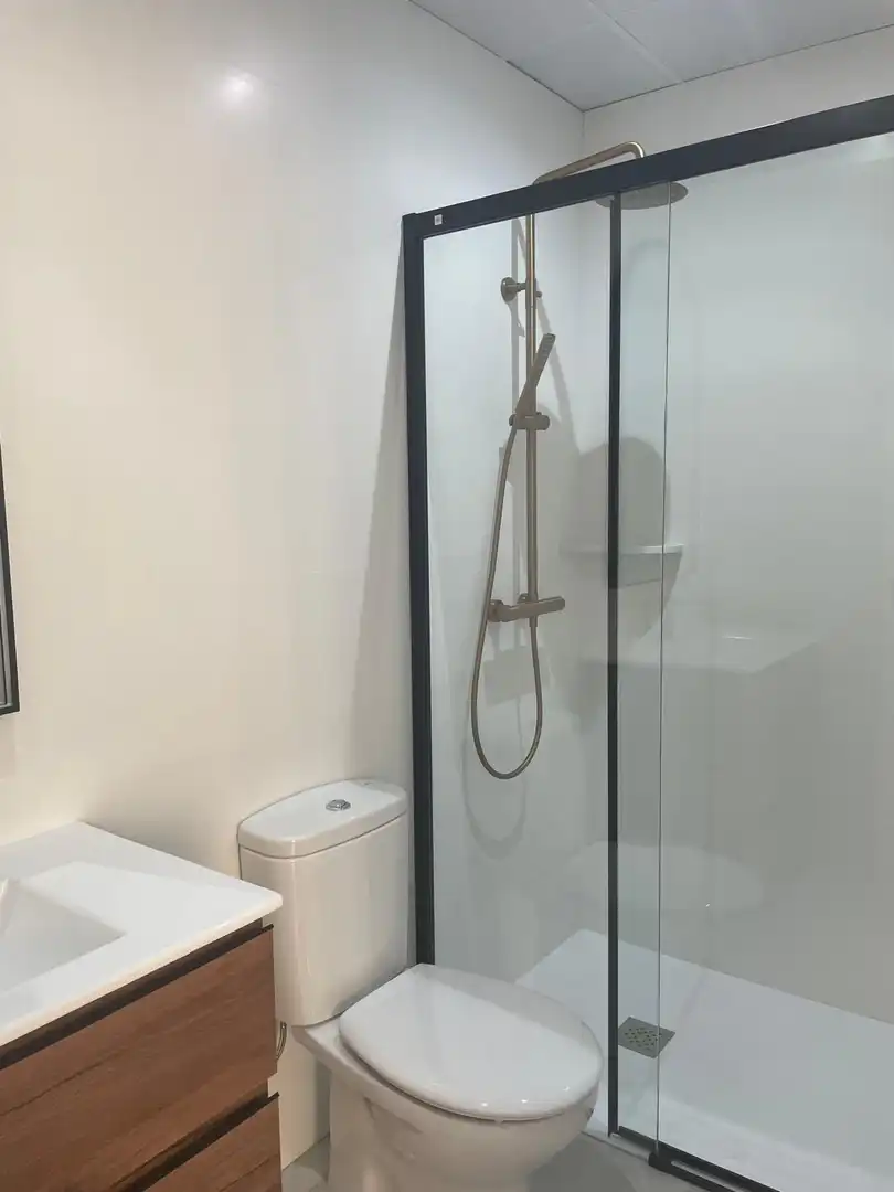 Bathroom of Apartments for rent in Córdoba  with Air Conditioner, Heating and Furnished