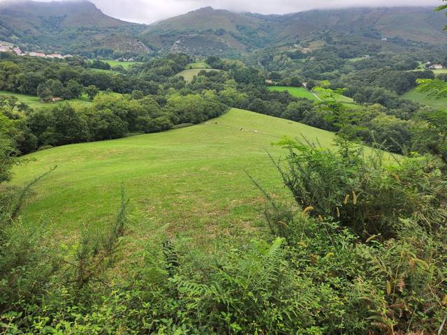 Terreno residencial en Venta en Calle Basaburua en Zugarramurdi