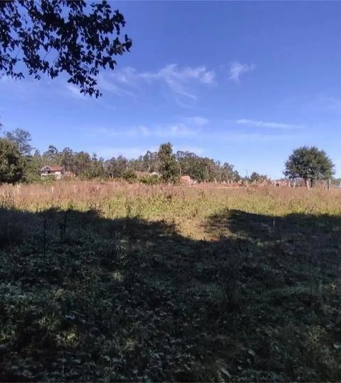 Foto 2 de Finca rústica en venda a Camiño Os Do López, 41, Mos, Pontevedra