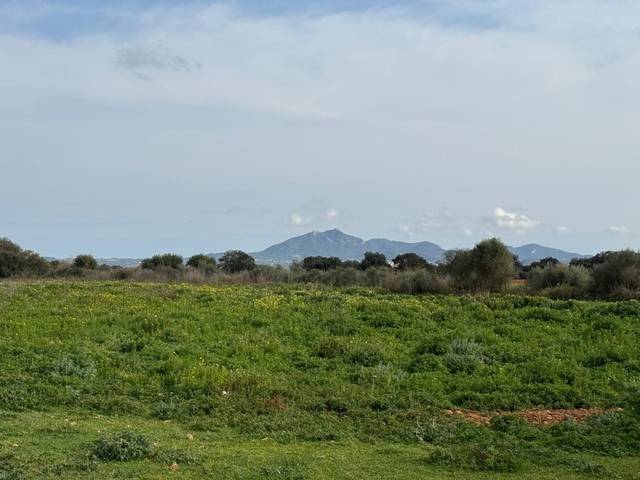 Terreno residencial en Venta en Porreres