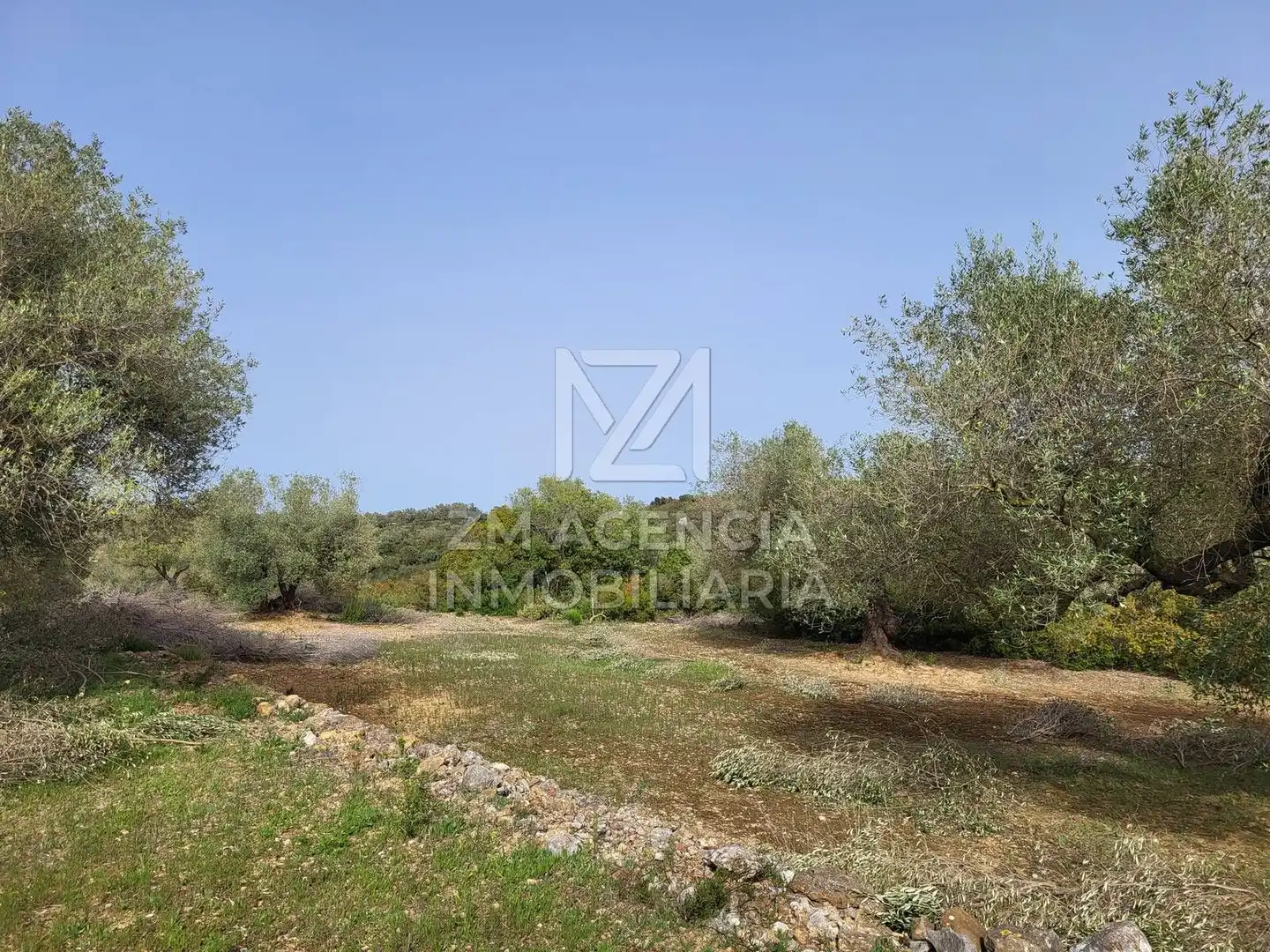 Terreno rustico in vendita a Corral de la Culla, imagen 7