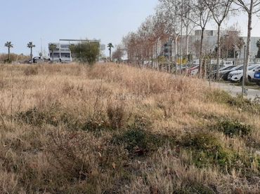 Grundstücke und Bauplätze zum Verkauf in Vilamarina