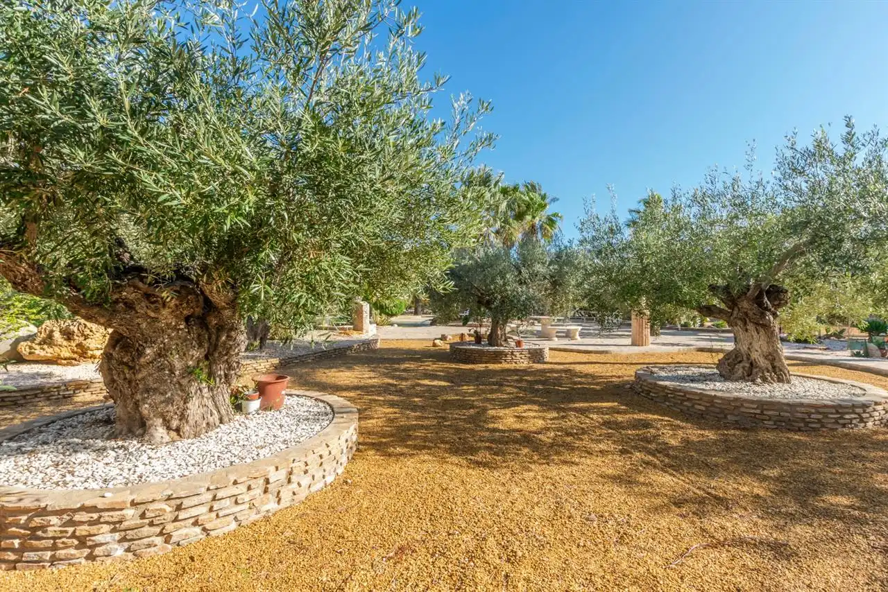 Villa avec piscine à vendre à Turre, imagen 43
