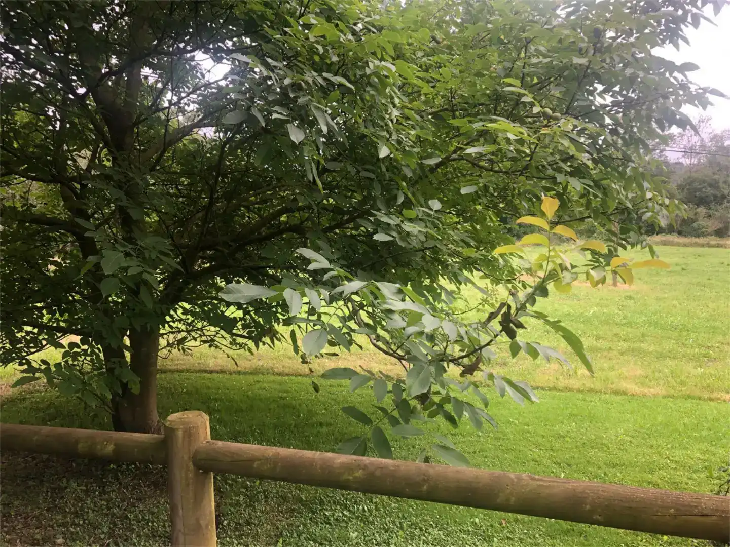 Garten von Grundstücke zum Verkauf in Piélagos