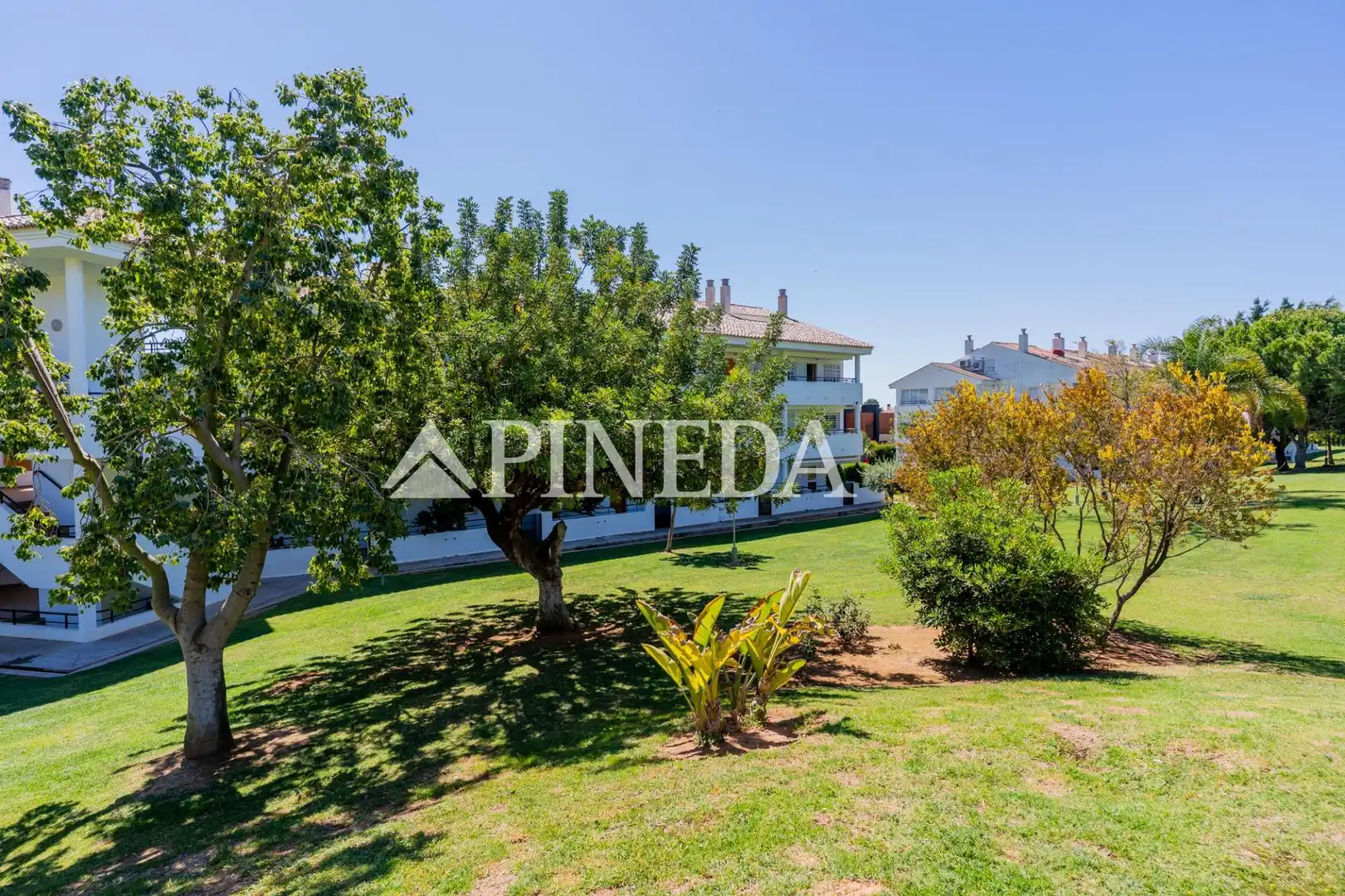 Jardí de Apartament de lloguer en Puçol amb Terrassa, Moblat i Piscina comunitària