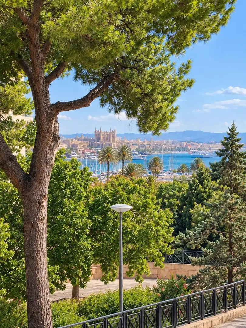 Vista exterior de Apartament de lloguer en Ponent