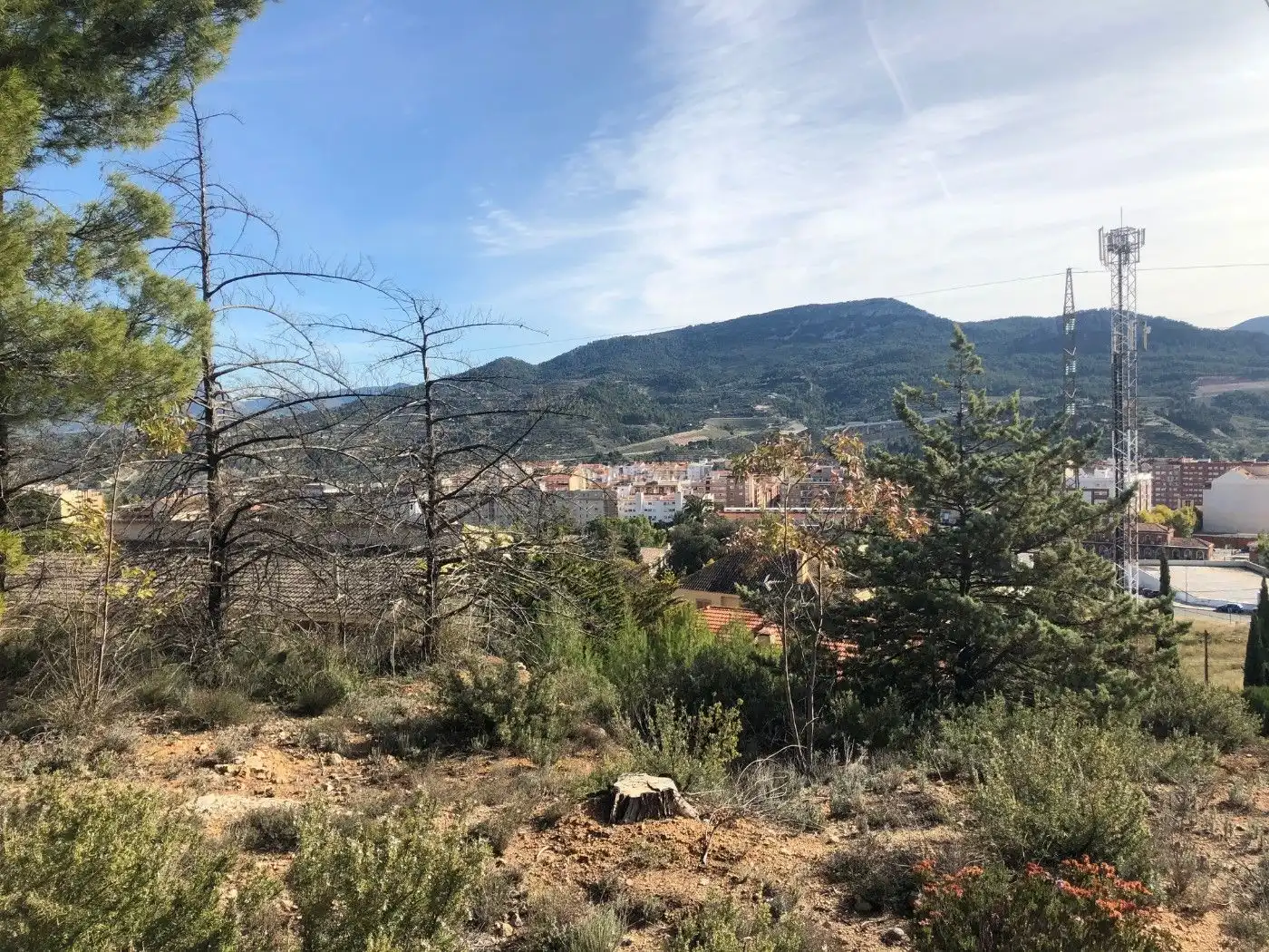 Terreno residencial en venta en Carrer Cine Principal 15, imagen 5