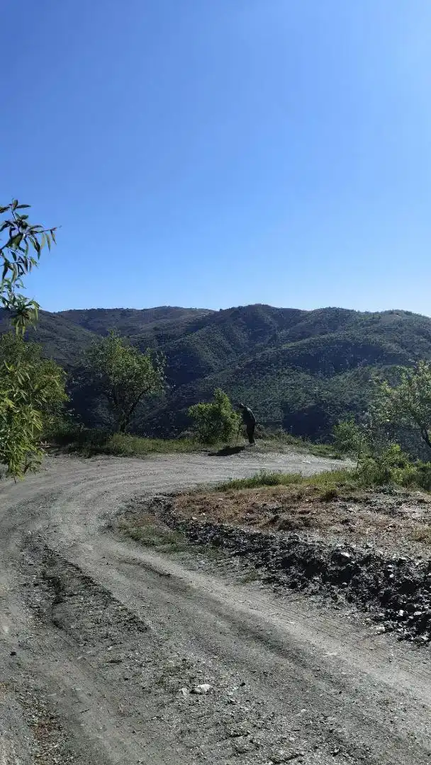 Vista exterior de Finca rústica en venta en Albondón con Jardín privado, Trastero y Amueblado
