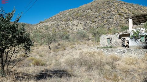 HERMOSA FINCA EN PINOS GENIL