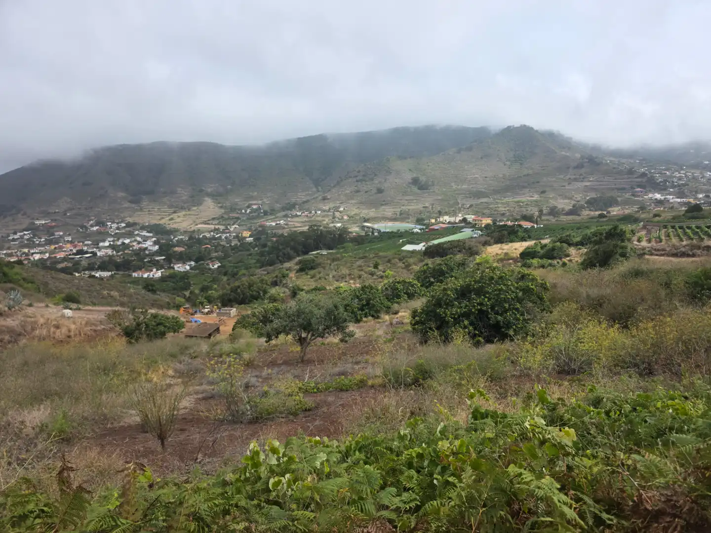 Rural land for sale in Camino las Peñuelas 11, imagen 15