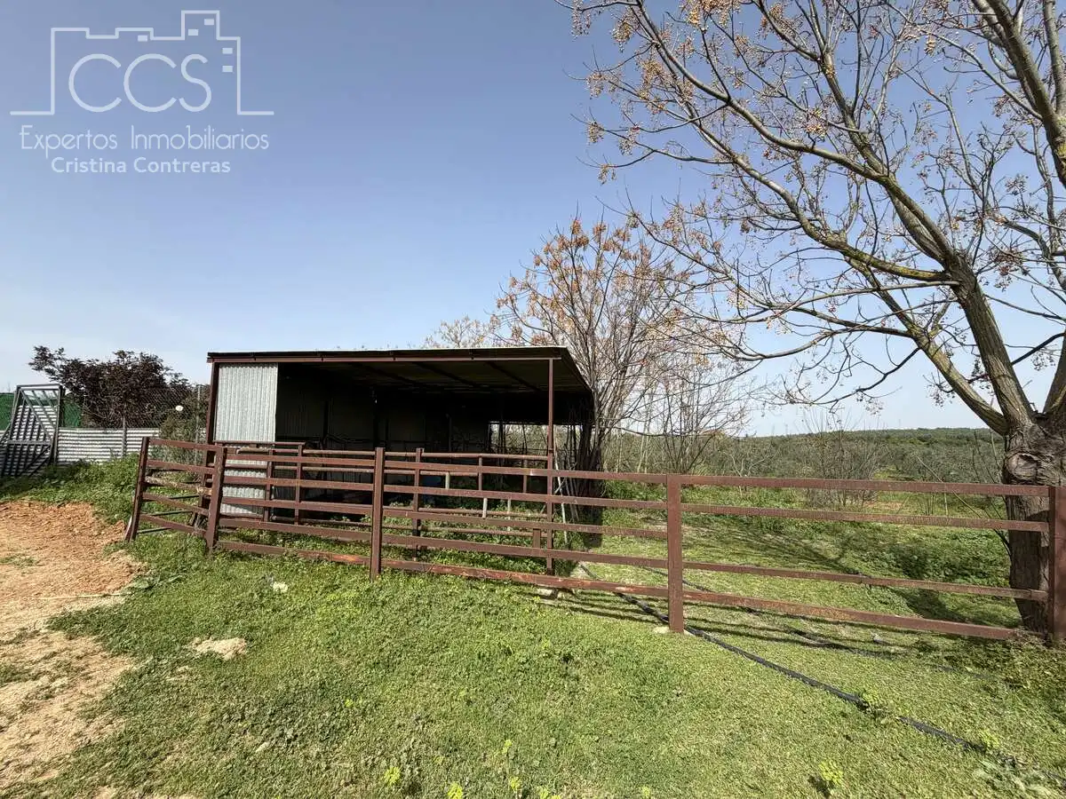Landhaus mit Pool zum Verkauf in Pilas, imagen 5